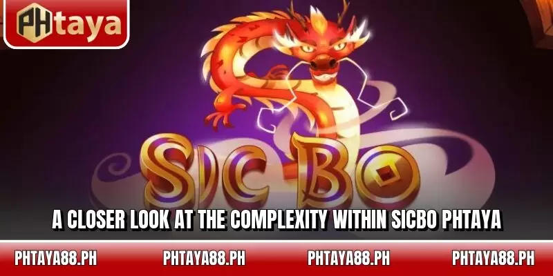 A closer look at the complexity within Sicbo PHTAYA