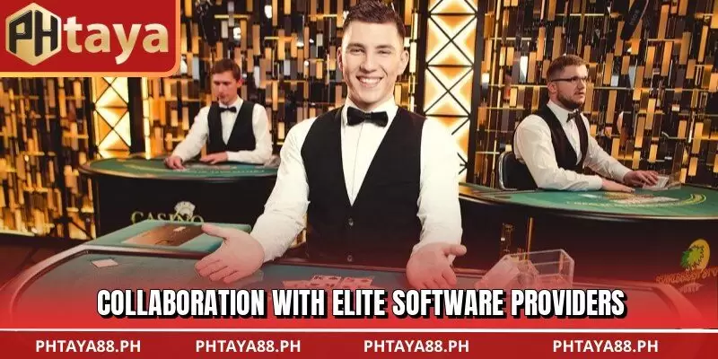 Collaboration with elite software providers