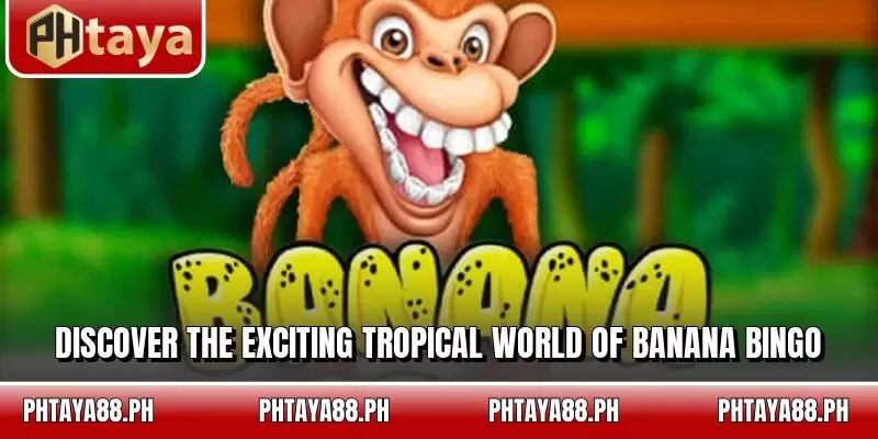 Discover the exciting tropical world of banana bingo