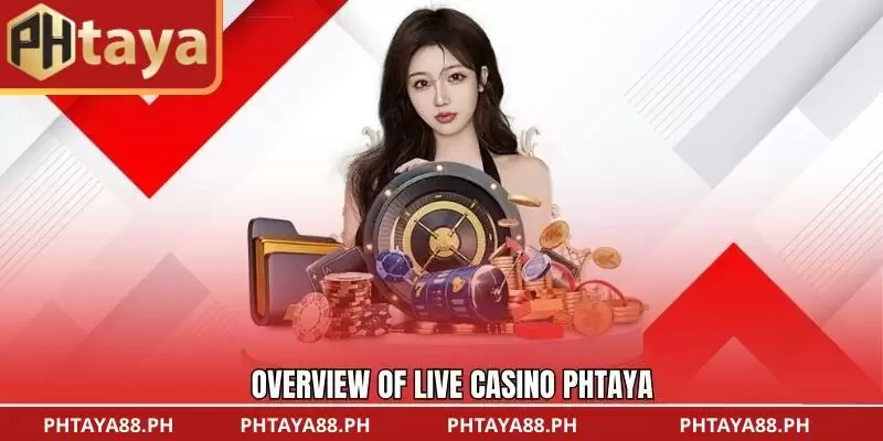 Overview of Live Casino PHTAYA