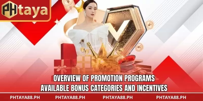 Overview of promotion programs