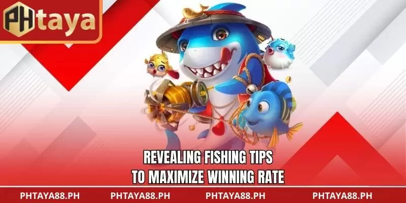 Revealing Fishing Tips to Maximize Winning Rate