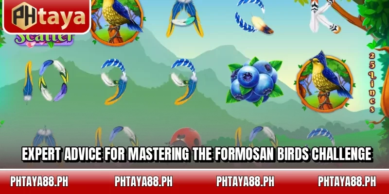 Expert advice for mastering the Formosan Birds challenge